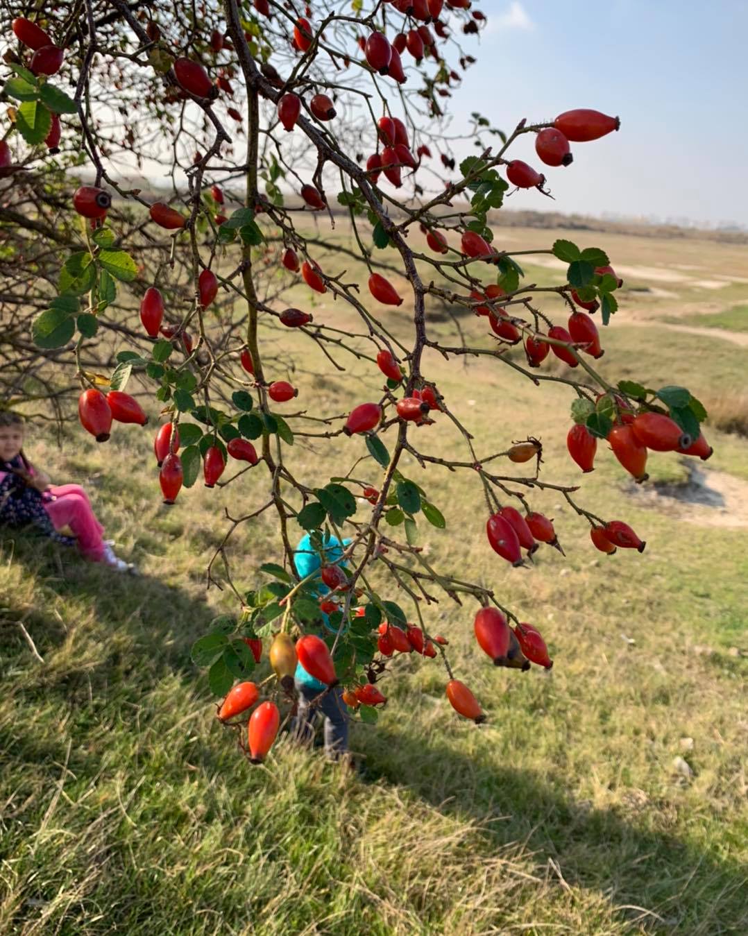 May be an image of 1 person, tree and nature